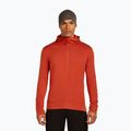 Мъжка качулка Icebreaker Merino 260 Quantum IV Zip Hoodie agate