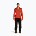 Мъжки суитшърт Icebreaker Merino 260 Quantum IV Zip Hoodie agate 2