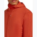 Мъжка качулка Icebreaker Merino 260 Quantum IV Zip Hoodie agate 8