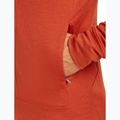 Мъжка качулка Icebreaker Merino 260 Quantum IV Zip Hoodie agate 9