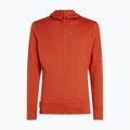 Мъжка качулка Icebreaker Merino 260 Quantum IV Zip Hoodie agate 10