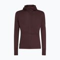 Мъжки потник Icebreaker Merino 200 RealFleece Descender Zip Hoodie java trekking sweatshirt 10