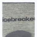 Дамски чорапи Icebreaker Merino Hike+ Light Crew 2 чифта blizzar hthr/alloy 3