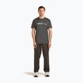 Мъжка тениска Icebreaker Merino 150 Tech Lite The Peaks obsidian 2