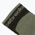Мъжки чорапи Icebreaker Merino Hike+ Light Mini dark loden/lichen 3