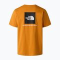 Мъжка тениска The North Face Evolution Box NSE dust orange 6