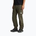 Мъжки панталони за трекинг The North Face Exploration Cargo taupe green