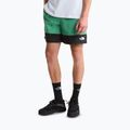 Мъжки шорти за трекинг The North Face Leynar dimmed algae/tnf black