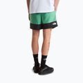 Мъжки шорти за трекинг The North Face Leynar dimmed algae/tnf black 3