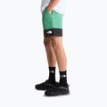 Мъжки шорти за трекинг The North Face Leynar dimmed algae/tnf black 4