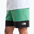 Мъжки шорти за трекинг The North Face Leynar dimmed algae/tnf black 5