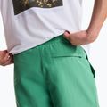 Мъжки шорти за трекинг The North Face Leynar dimmed algae/tnf black 6