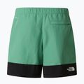 Мъжки шорти за трекинг The North Face Leynar dimmed algae/tnf black 10