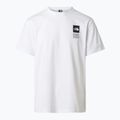 Мъжка тениска за трекинг The North Face Mountain Celebration Regular tnf white