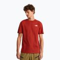 Мъжка тениска за трекинг The North Face Vertical Regular iron clay