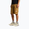 Мъжки шорти за трекинг The North Face Exploration Cargo Shorts utility brown