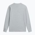 Мъжка трекинг блуза с дълъг ръкав The North Face Evolution Simple Dome Regular LS Tee tnf pale grey heather 5
