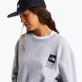 Суитшърт The North Face Celebration Relaxed Crew Graphic tnf light grey heather 10