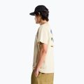 Мъжка тениска за трекинг The North Face Mountain Celebration Regular desert stone 4