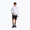Мъжки шорти за трекинг The North Face Box Nse Light Regular Shorts black 2