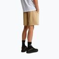Мъжки шорти за трекинг The North Face Box Nse Light Regular Shorts khaki stone 3