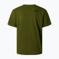 Мъжка тениска The North Face Mountain Logo Relaxed woodland green 6