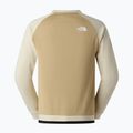 Мъжки суитшърт The North Face Mountain Athletics Fleece Crew 2