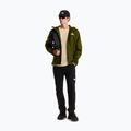 Мъжко софтшел яке The North Face Quest Mono woodland green 2