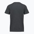 Мъжка тениска Smartwool Lunar Bear Active SS Graphic Tee charcoal heather 2