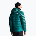 Мъжко пухено яке The North Face Summit Breithorn Hoodie restorative tea 3