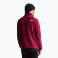 Дамски поларен суитшърт The North Face Glacier Fleece 1/4 Zip burgundy crush 3