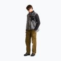 Мъжки поларен суитшърт The North Face Yumiori Full Zip smoked pearl/tn 2