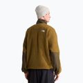 Мъжки поларен суитшърт The North Face Yumiori Off Peak 1/2 Zip caraway seed/ne 3