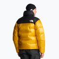 Мъжко пухено яке The North Face Summit Nuptse summit gold/tnf black 3