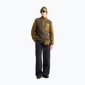 Мъжки поларен суитшърт The North Face Yumiori Full Zip new taupe green 2
