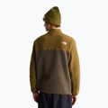 Мъжки поларен суитшърт The North Face Yumiori Full Zip new taupe green 3