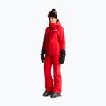 Дамски скиорски панталони The North Face Descendit Regular elevation red 2