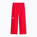 Дамски скиорски панталони The North Face Descendit Regular elevation red 4