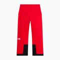 Мъжки скиорски панталони The North Face Chakal elevation red 5