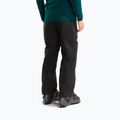 Мъжки скиорски панталони The North Face Chakal tnf black 3