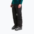 Мъжки скиорски панталони The North Face Chakal tnf black