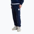 Мъжки панталони за бягане The North Face Evo Box Half Dome Regular Tappered summit navy 3