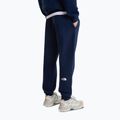 Мъжки панталони за бягане The North Face Evo Box Half Dome Regular Tappered summit navy 4