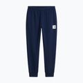 Мъжки панталони за бягане The North Face Evo Box Half Dome Regular Tappered summit navy 5