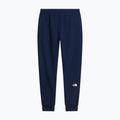 Мъжки панталони за бягане The North Face Evo Box Half Dome Regular Tappered summit navy 6