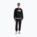Мъжки панталони за бягане The North Face Evo Box Half Dome Regular Tappered tnf black 2
