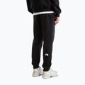 Мъжки панталони за бягане The North Face Evo Box Half Dome Regular Tappered tnf black 3