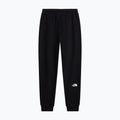 Мъжки панталони за бягане The North Face Evo Box Half Dome Regular Tappered tnf black 5