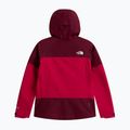 Дамско яке за дъжд The North Face Gtx Jazzi lali guran/burgundy cru 6