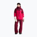 Дамско скиорско яке The North Face Freedom Insulated lali guran/burg 2